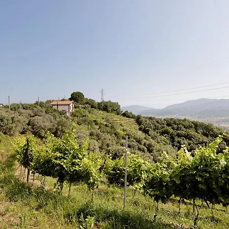 Per Caso Bauernhof Carignano (Tuscany)