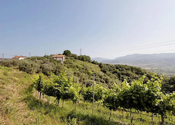 Per Caso Feriegård Carignano (Tuscany)